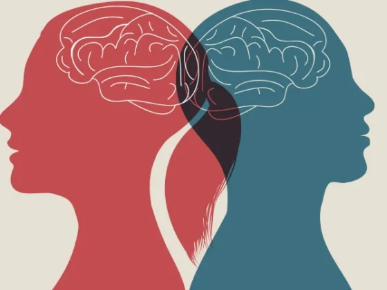 Diferencias cerebro masculino y femenino