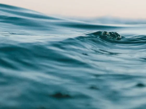 agua